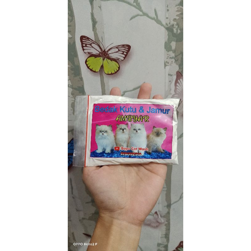 BEDAK KUTU&JAMUR AMBYAR