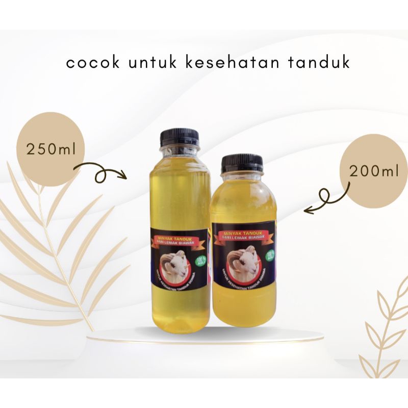Minyak Tanduk| Penyubur Tanduk Domba Garut 200ml