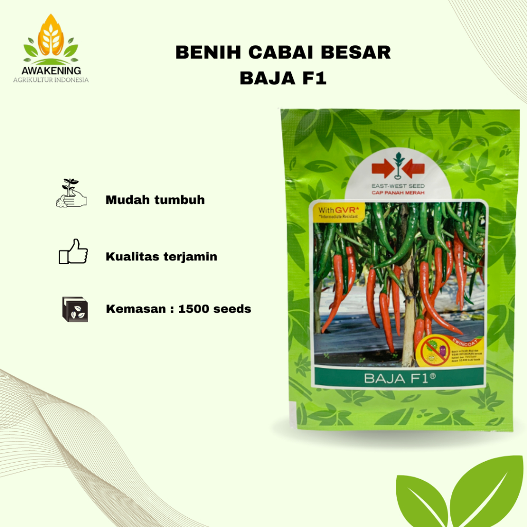 BENIH CABE BESAR BAJA F1 PANAH MERAH