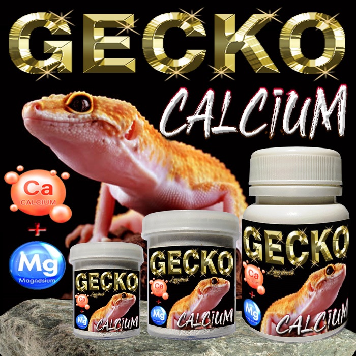 GECKO CALCIUM NON D3 KALSIUM BUBUK POWDER LEOPARD GEKO AFT WHEELERI GEKKO CRESTED TOKEK VITAMIN OBAT
