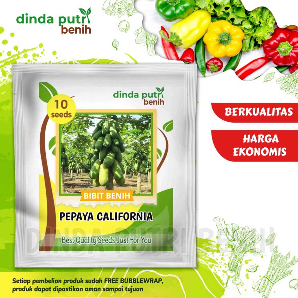 Benih Pepaya California F1 isi benih 10biji benih pepaya super