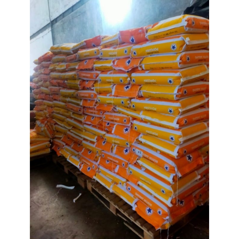 

jagung popcorn