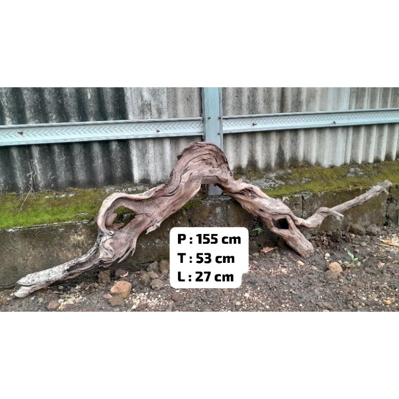 Kayu Aquascape - Kayu Santigi (Besar)