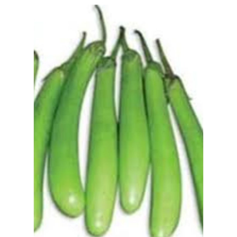 

terong panjang hijau unggul 30 biji