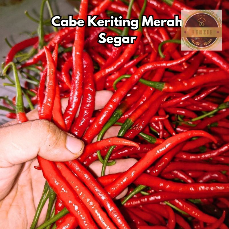 

Cabe Keriting Merah pasar induk cibitung