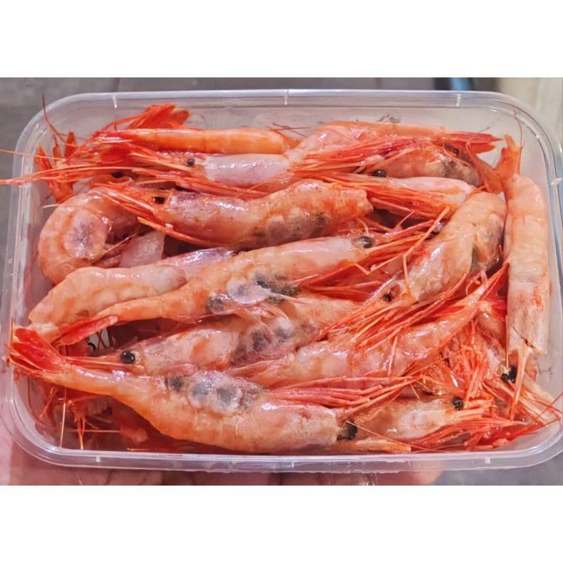 

udang AMAEBI udang manis