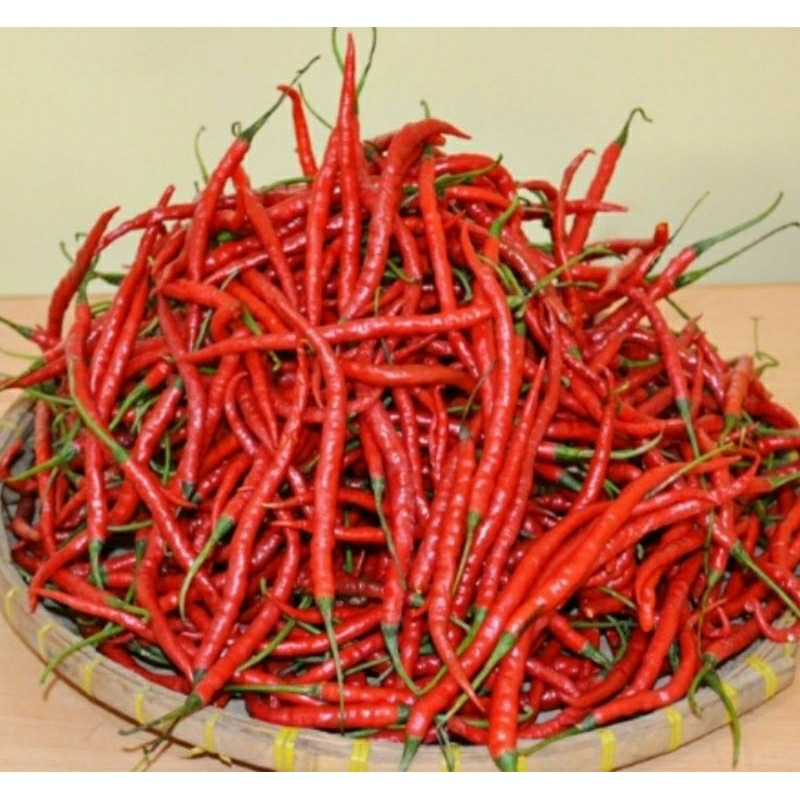 

Cabe Keriting Merah
