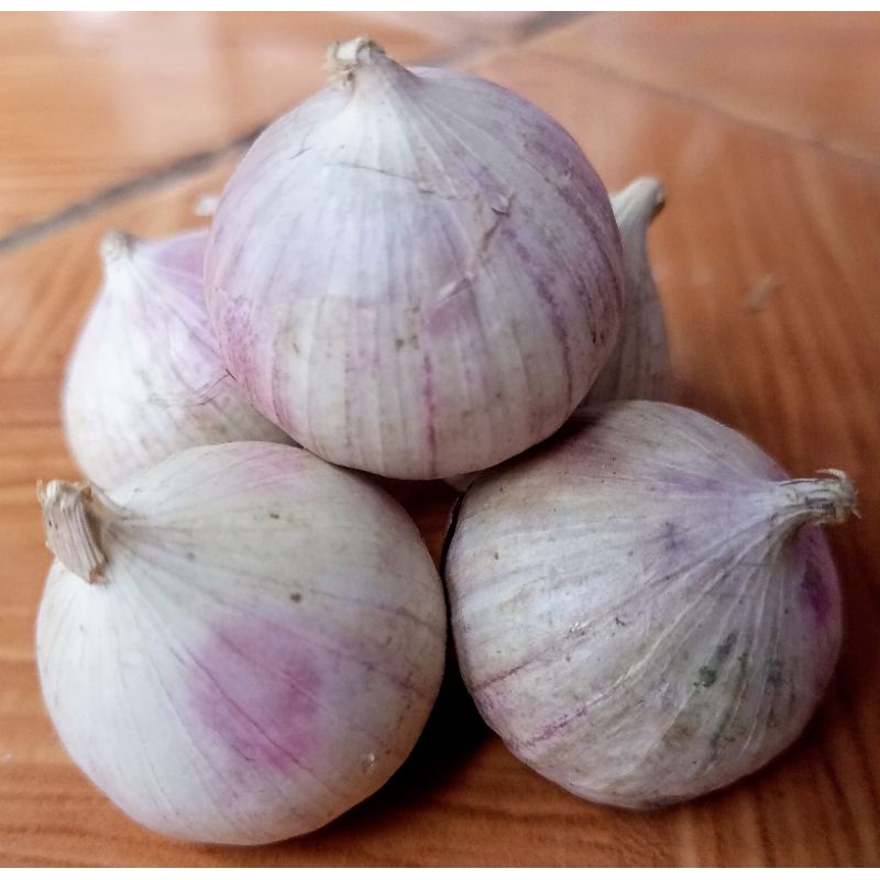 

Bawang tunggal Besar 1 kg fresh| bawang import