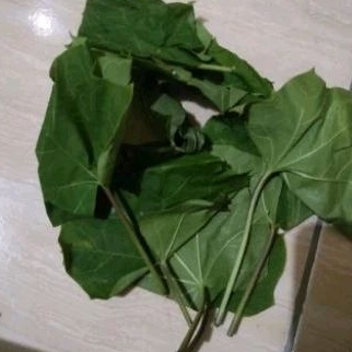 

Daun Jarak 100g