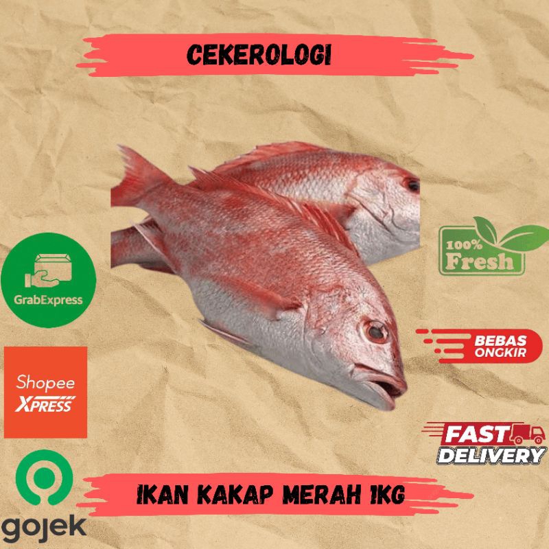 

Ikan Kakap Merah 1kg / Ikan Kakap Merah / Ikan Kakap / Ikan Kakap Merah Fresh Berkualitas / JABODETABEK / Ikan Segar / Ikan