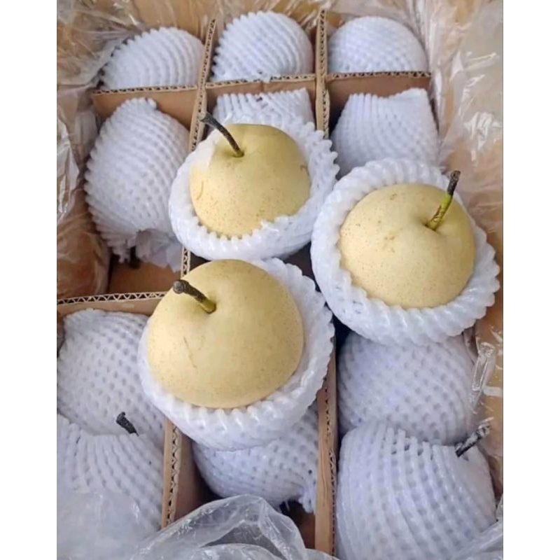 

Pir Century Pir Madu Manisss 1kg