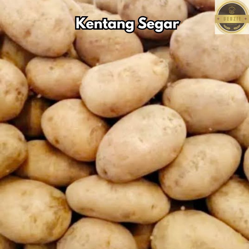 

Kentang Dieng Super 500 gr Termurah