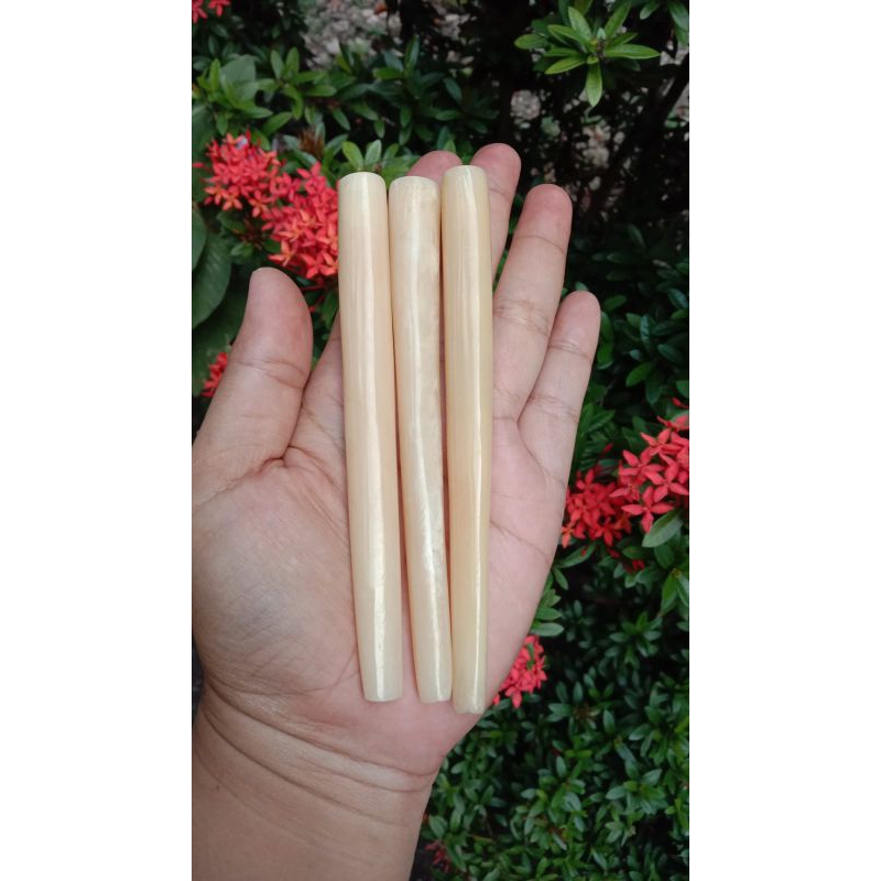 once/pipa tulang sapi