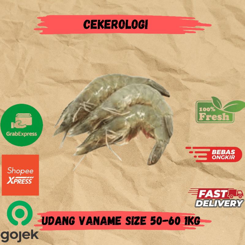 

Udang Vaname Size 50-60 1kg / Udang Vaname / Udang / Vaname / Udang Vaname Fresh Berkualitas / JABODETABEK / Seafood Segar / Seafood