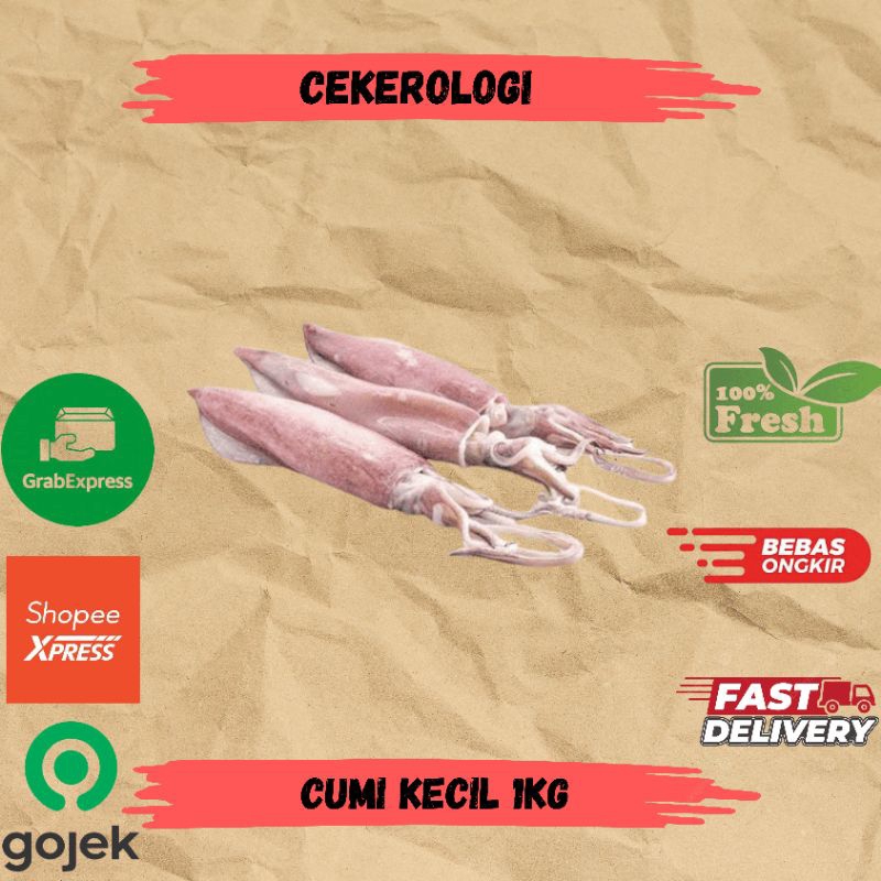 

Cumi Kecil 1kg / Cumi / Cumi Kecil Fresh Berkualitas / JABODETABEK / Seafood Segar / Seafood