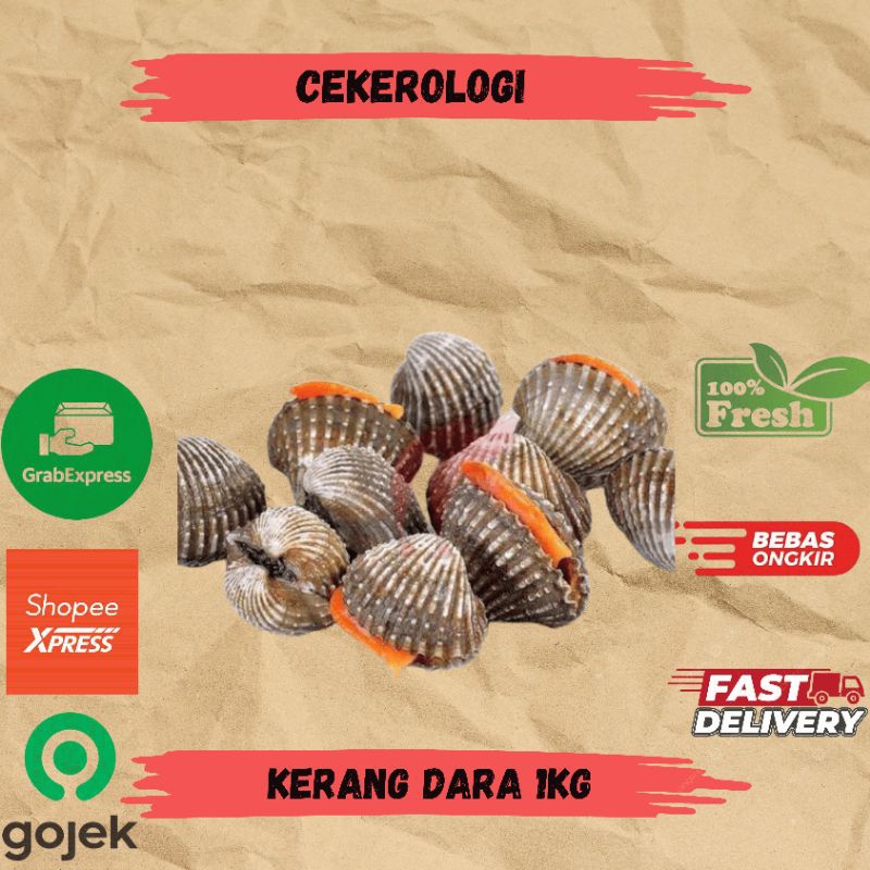 

Kerang Dara 1kg / Kerang Dara / Kerang Dara Fresh Berkualitas / JABODETABEK / Seafood Segar / Seafood
