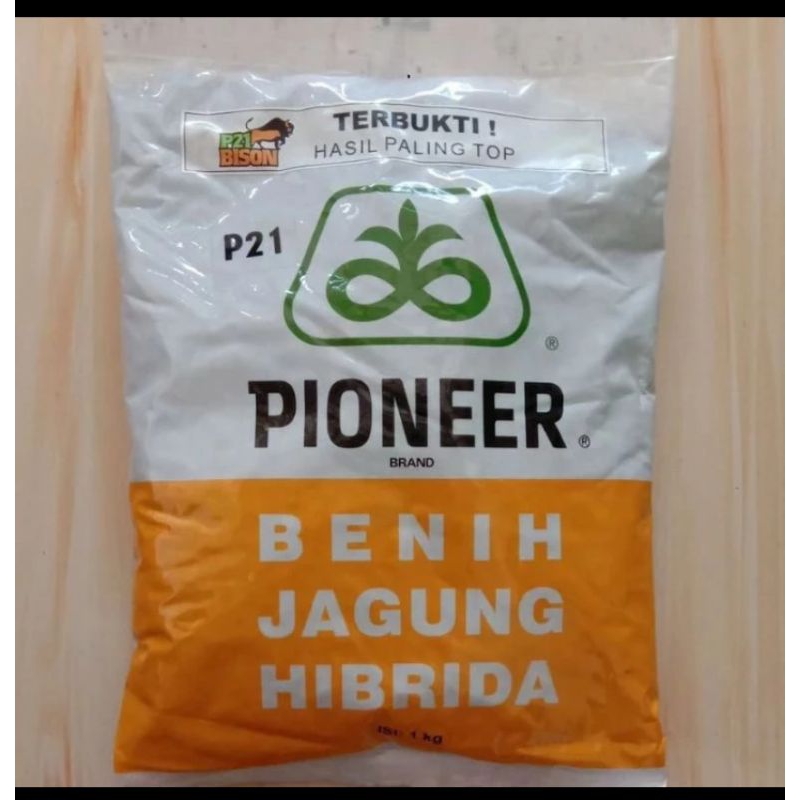 benih jagung pioner p21 kemasan 1kg