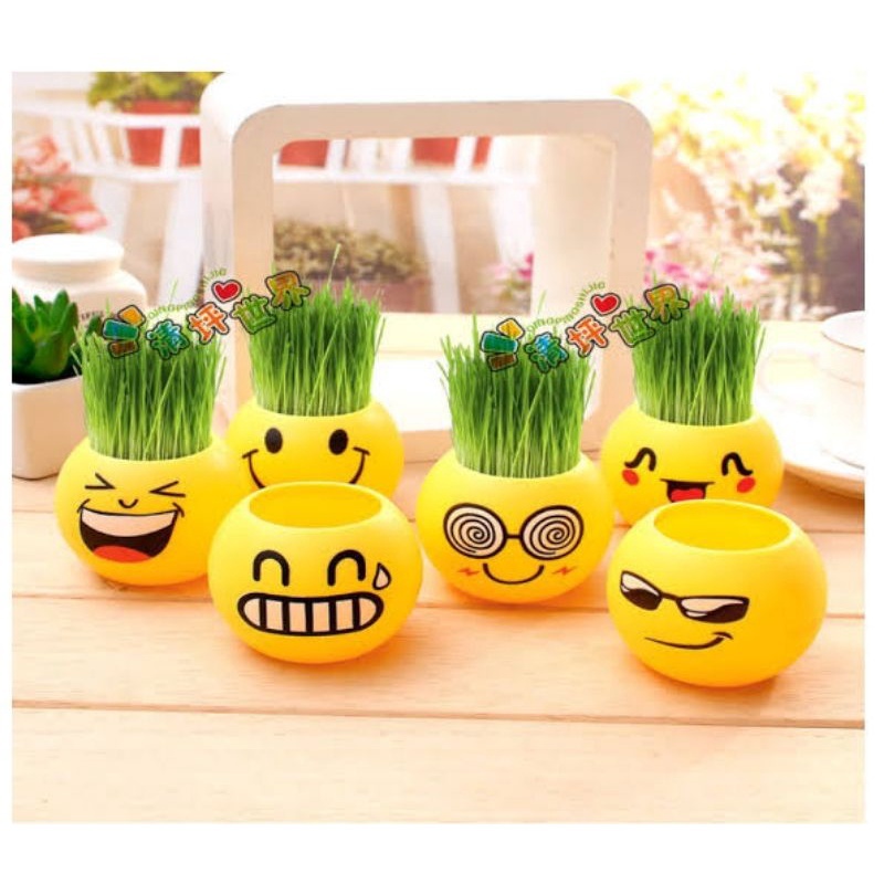 Pot Mini Emoji Pajangan Mobil Vas Bunga Meja Pot Tanaman Hias Rumput Pot Bunga Mini