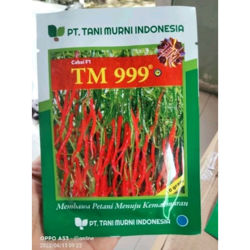 bibit cabai keriting tm 999