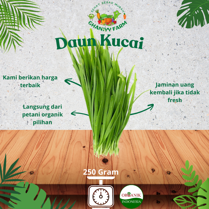 

Sayur Organik Kucai Organik 250Gram