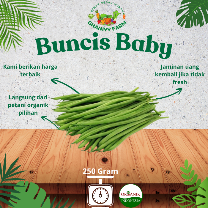 

Sayur Organik Baby Buncis Organik 250 Gram