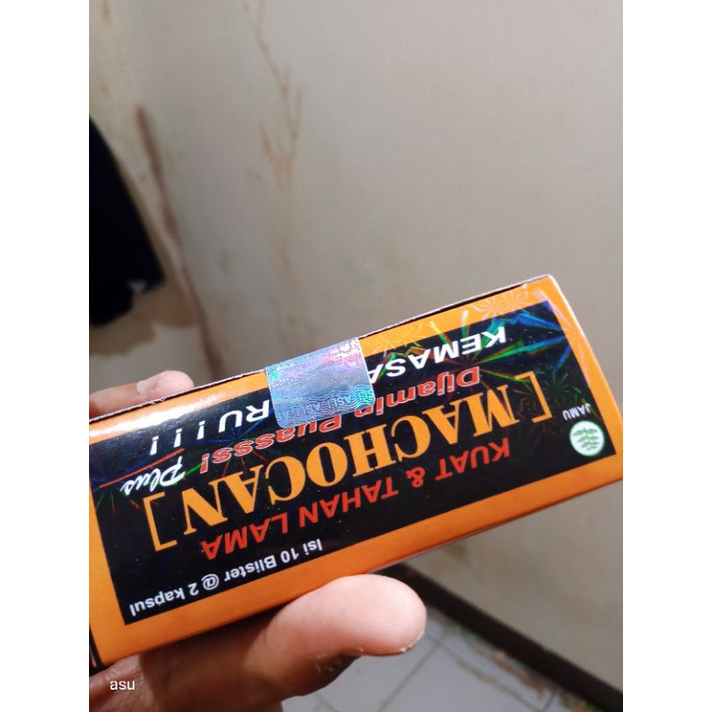 machocan kapsul original
