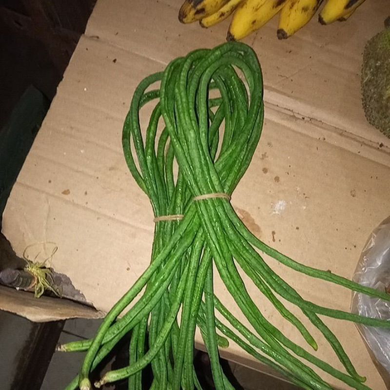 

KACANG PANJANG 200gr