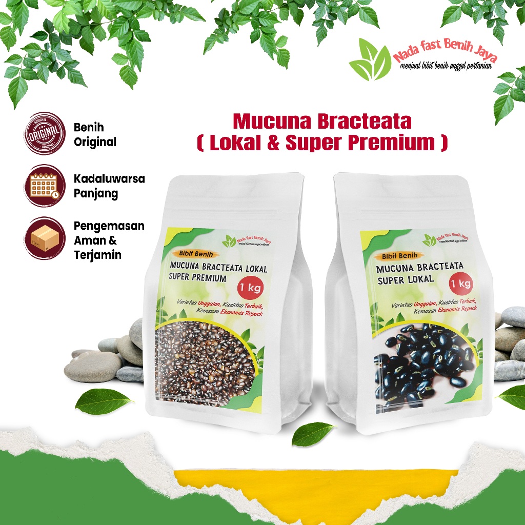 Benih Mucuna 1 kg super lokal bibit mucuna bracteata / benih kacang kacangan cover crop
