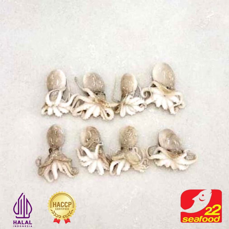 

Baby Octopus 500 gram Size 10-90g / Gurita Baby / Seafood 22