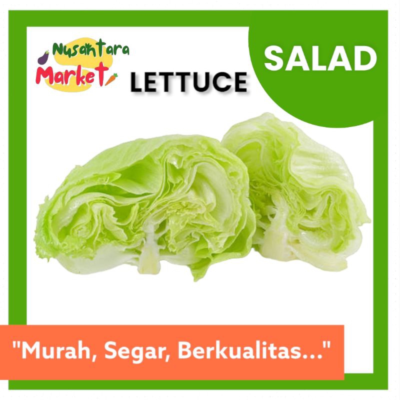 

LETTUCE HEAD | 600GR | NUSANTARA MARKET | SALAD