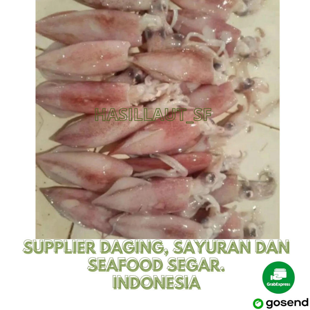 

CUMI BANGKA SEGAR 500 GRAM DAN 1KG