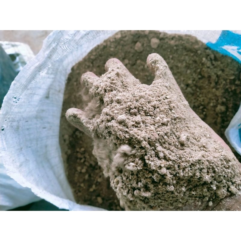 Kosentrat Sapi, Kambing & Domba cocok untuk penggemukan dan breeding