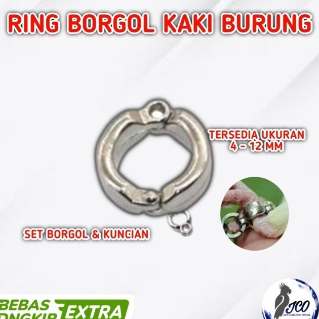 XC26619 RING BORGOL BURUNG RING KAKI BURUNG LOVEBIRD FALK SONCUNURE SEMUA JENIS