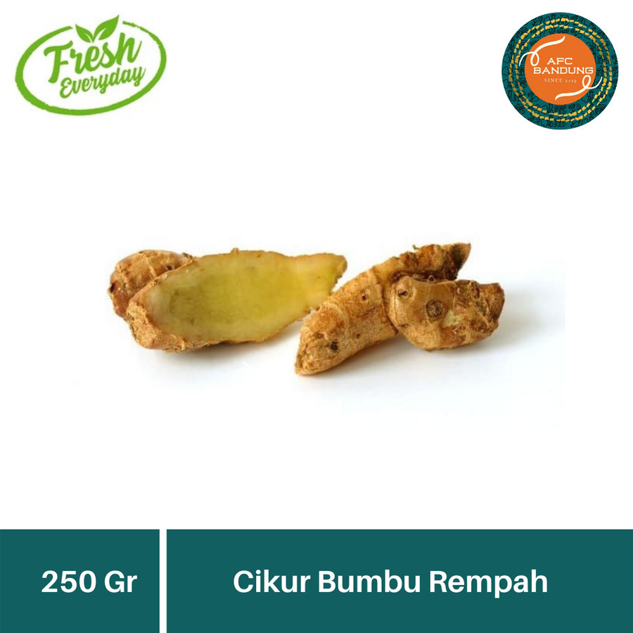 

Cikur Bumbu Rempah Sayur Segar Kencur 250gr