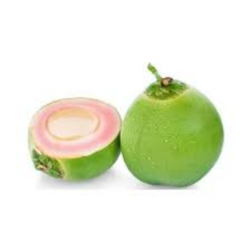 

air kelapa muda