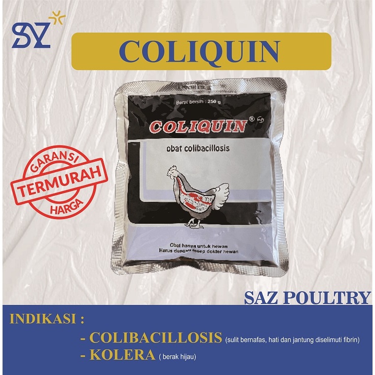 COLIQUIN 250 Gram Obat Colibacillosis Hewan Ternak Ayam Unggas