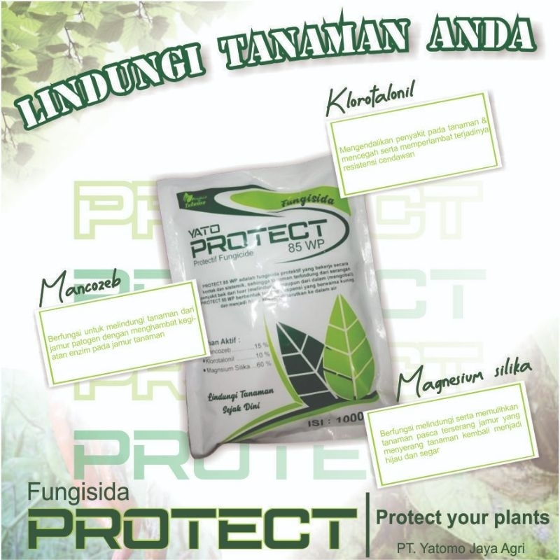 PROTECT 80 WP Fungisida kontak & sistemik