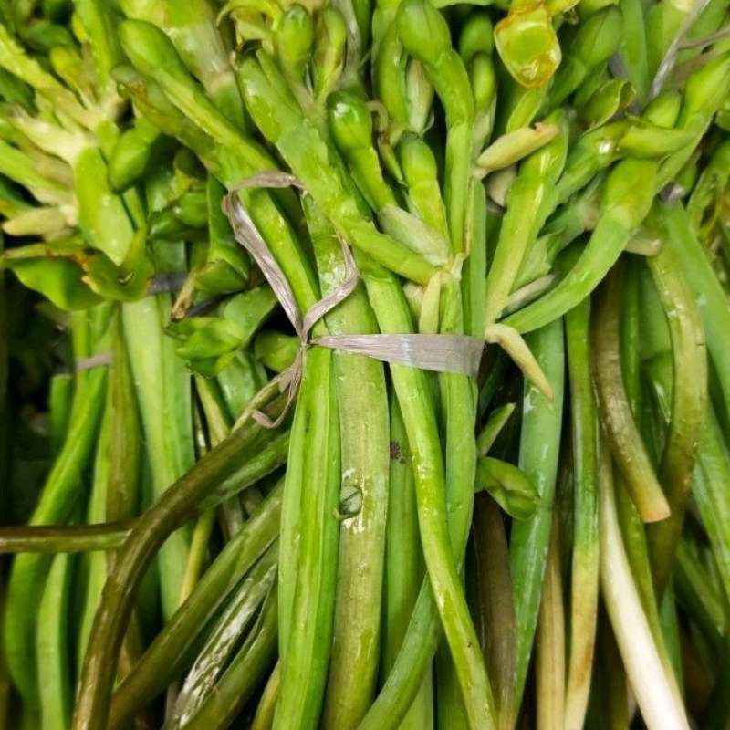 

SAYUR GENJER 1 IKAT - FRESHCORNER PALEMBANG