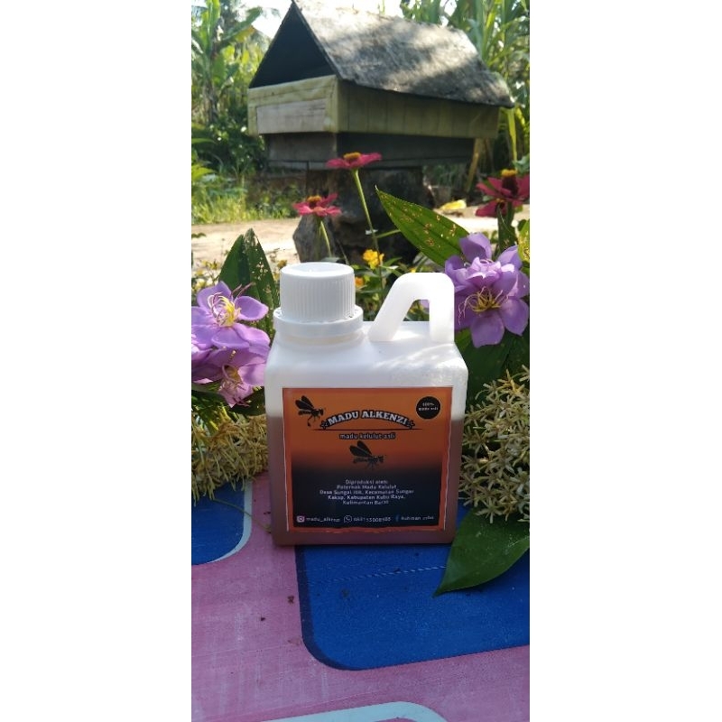 

Madu kelulut asli 100%