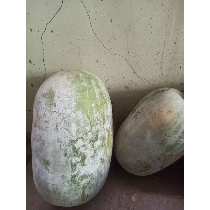

bligo blonceng sayur 2 kg baik