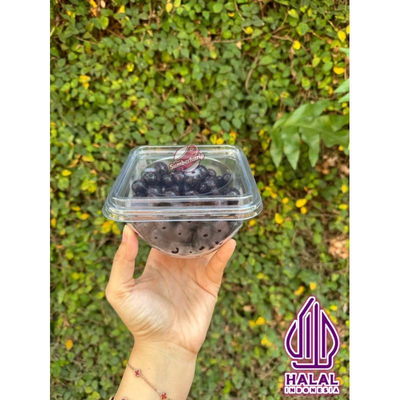 

BLUEBERRY FROZEN FRUITS 250gr