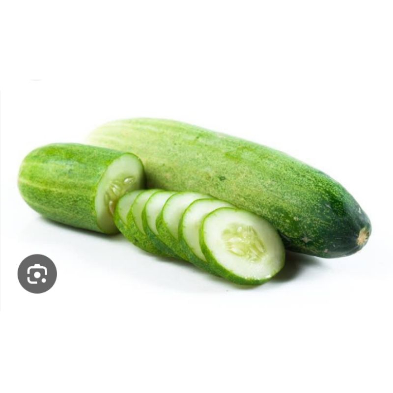 

timun segar