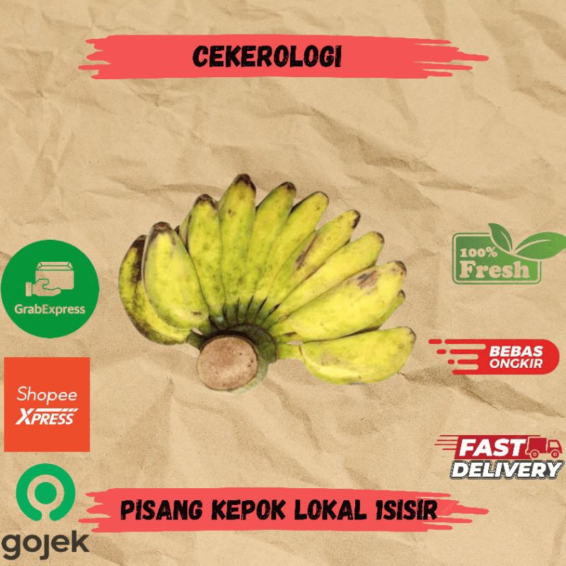 

Pisang Kepok Lokal 1sisir / Pisang Kepok Lokal / Pisang Kepok / Pisang Kepok Fresh Berkualitas / JABODETABEK / Pisang / Buah Pisang / Buah / Buah Buahan