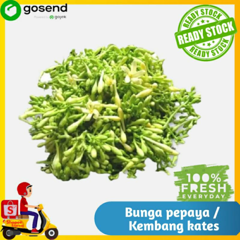 

Bunga pepaya / kembang kates - sayur segar - Tukang sayur Palembang