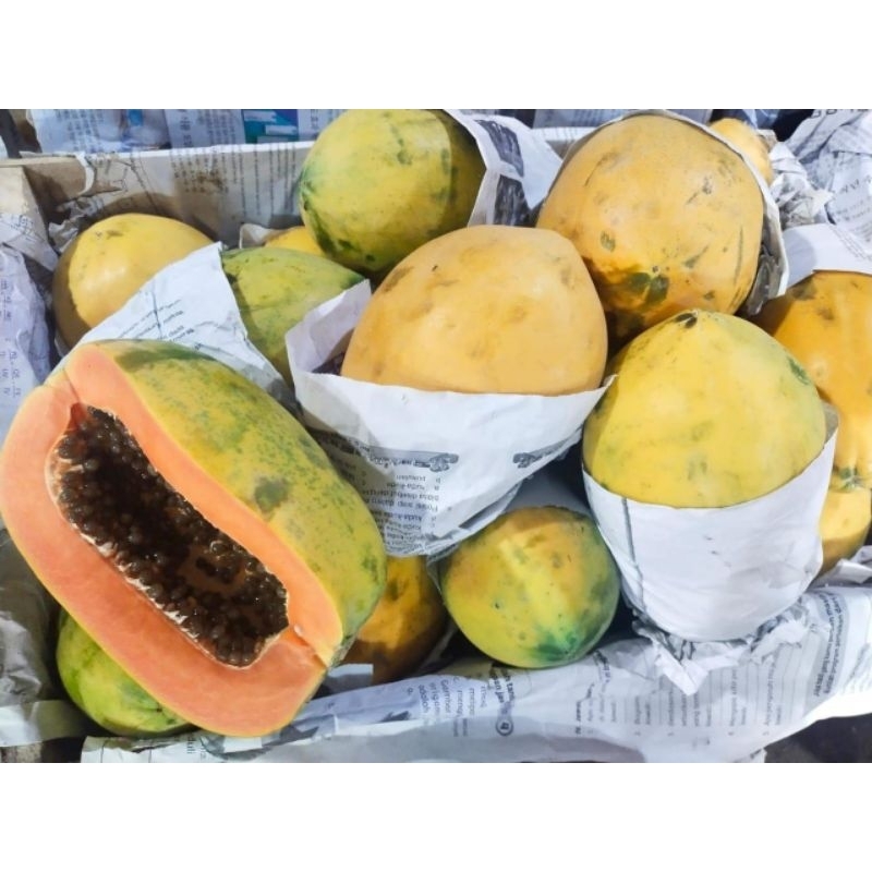 

Pepaya ±2kg