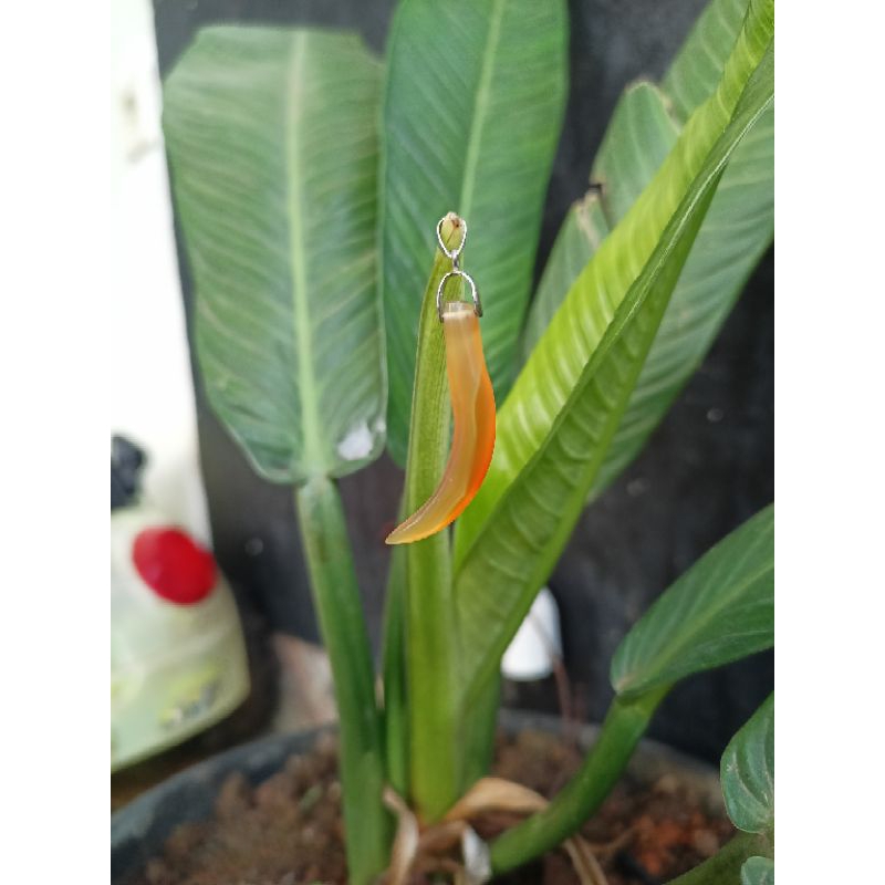 Liontin akik madu crulit, liontin batu akik