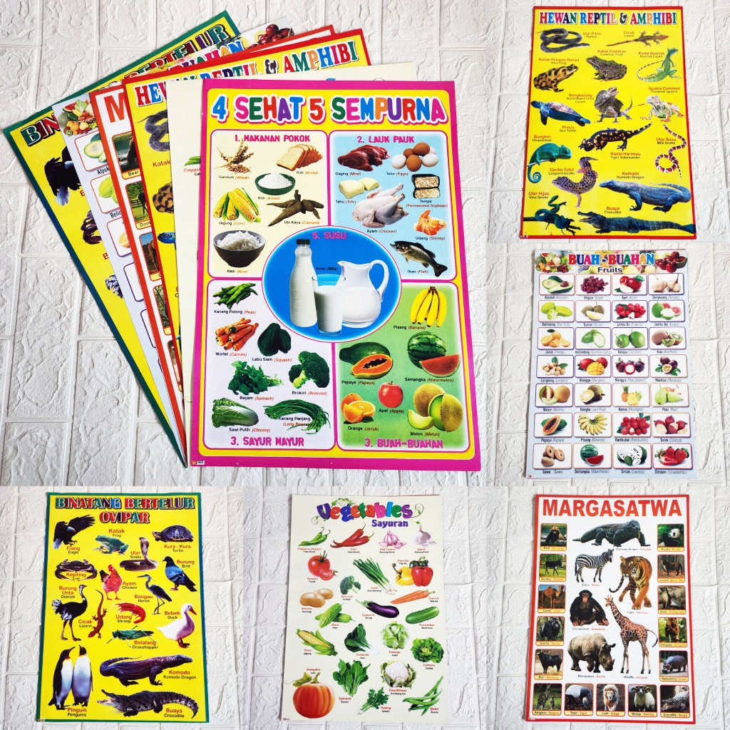 PAKET 6 LEMBAR POSTER EDUKASI ANAK HEWAN SAYURAN BUAH-BUAHAN