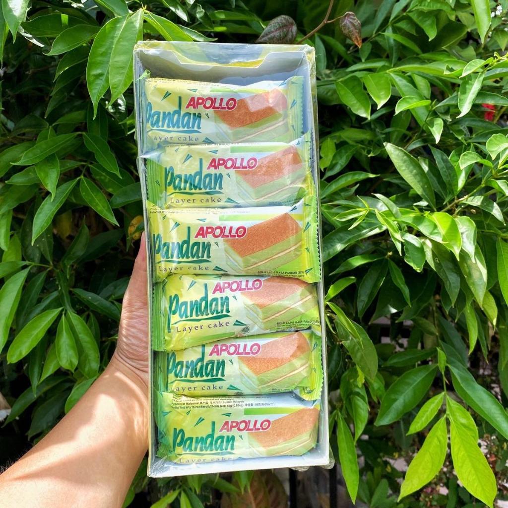 

Apollo Bolu Lapis Pandan & Coklat isi 24 PCS