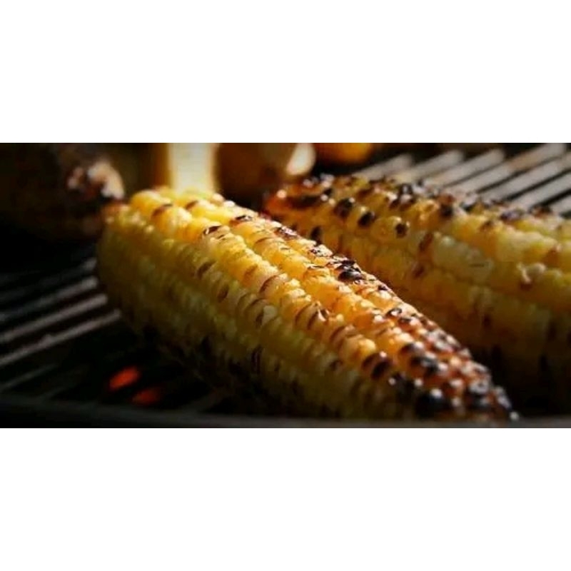 

jagung bakar mentah muda