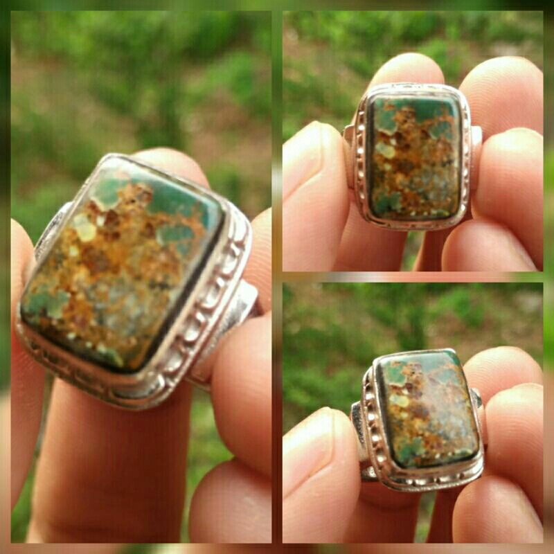 pirus persia serat emas